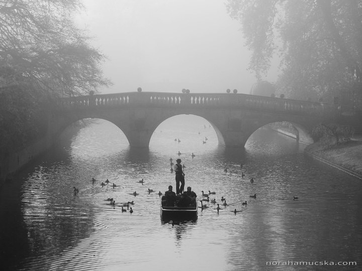 Foggy morning in Cambridge