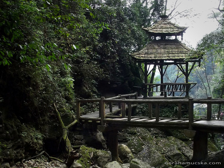 Qingcheng shan (青城山)- rear mountain