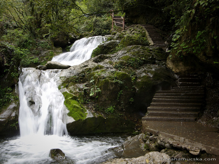 Qingcheng Shan – Rear Mountain, 2016