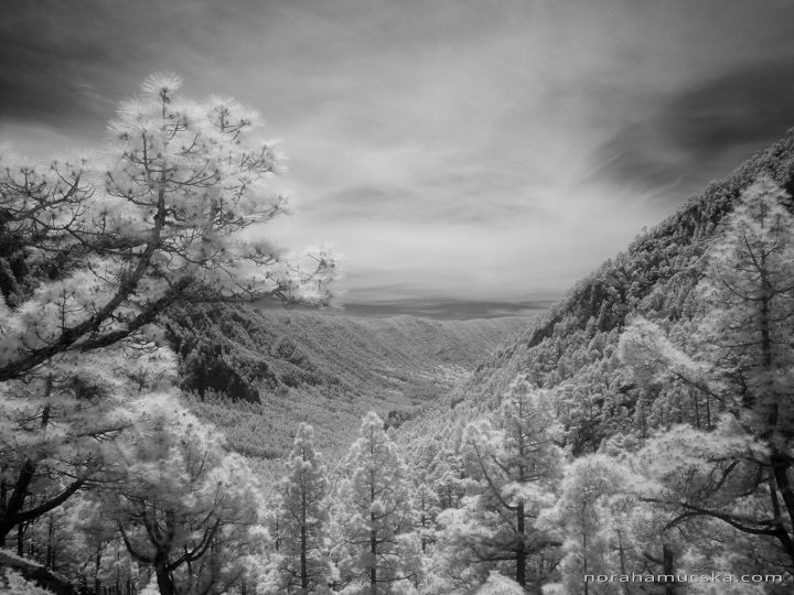 La Palma, Canary Islands in Infrared